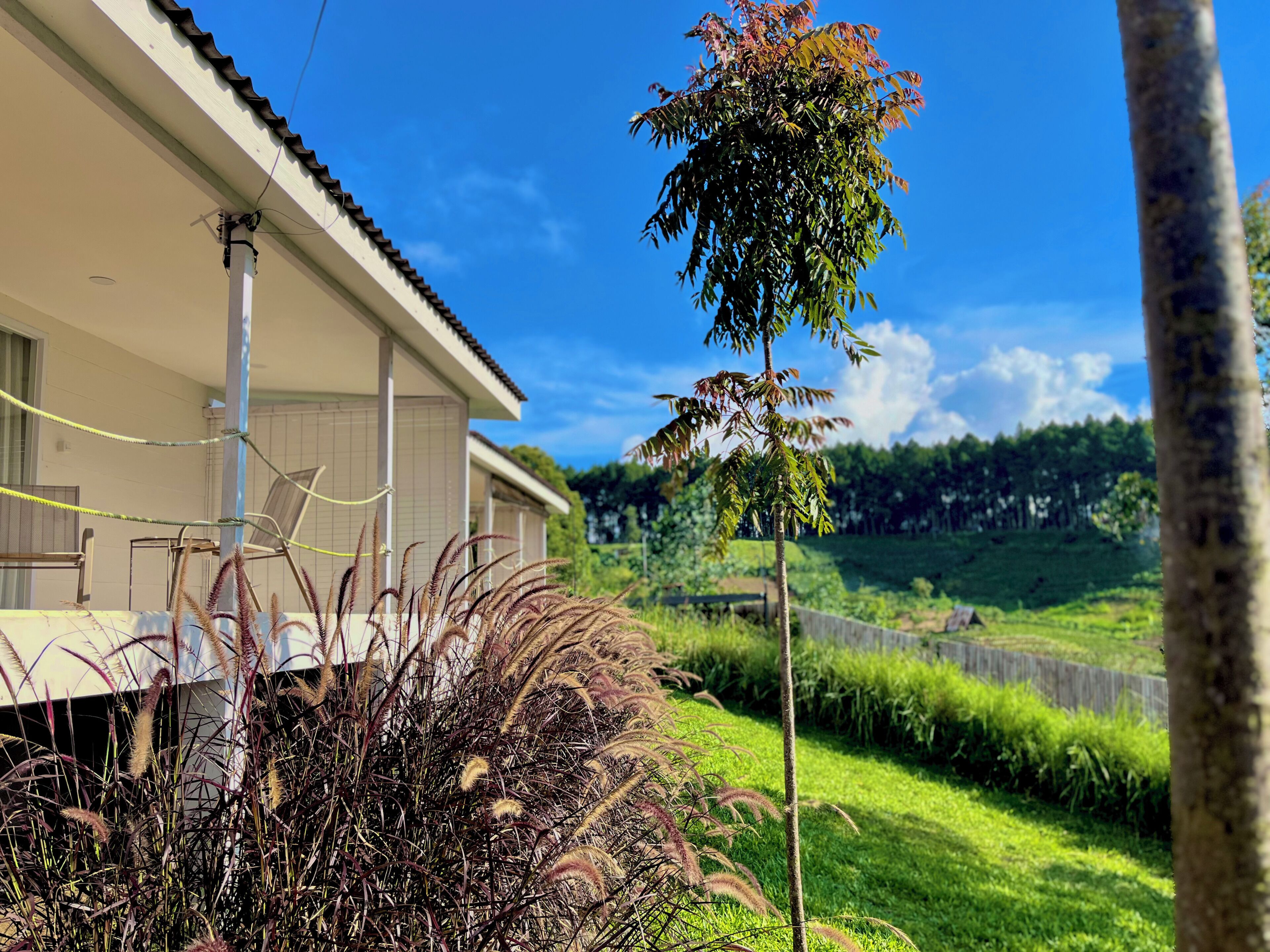 Ein Haus mit einem Ziegeldach, einem sichtbaren Schornstein und einem Rasen mit einem kleinen Baum.