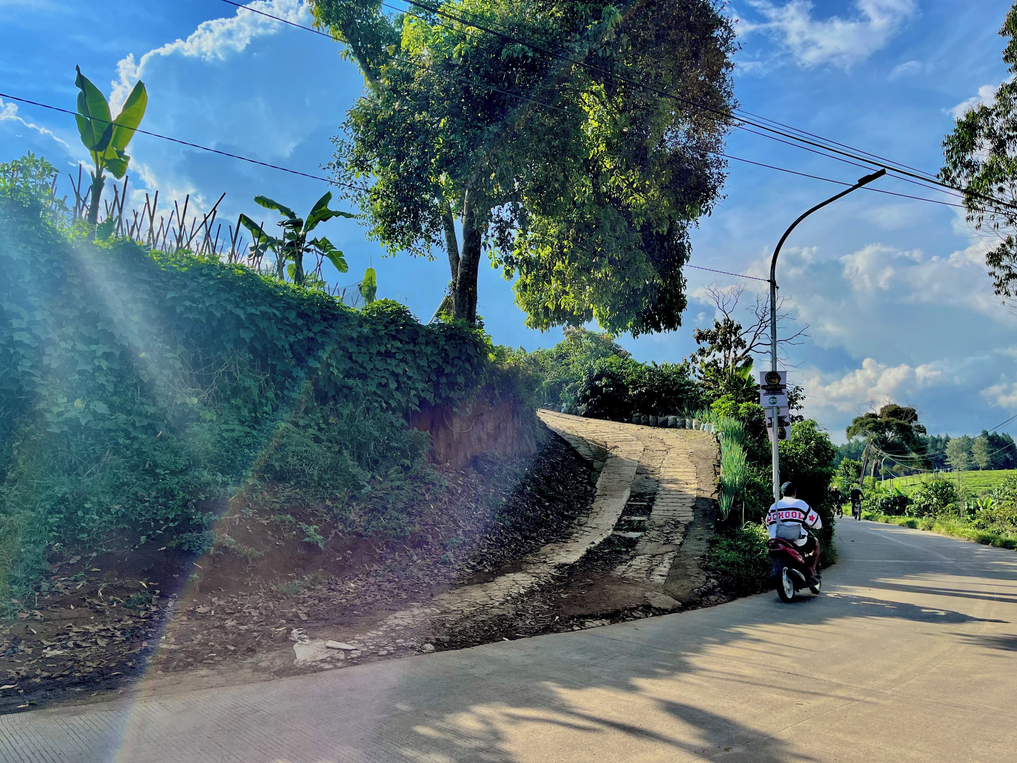 Un camino rural con una motocicleta, un cartel escolar y abundante vegetación.