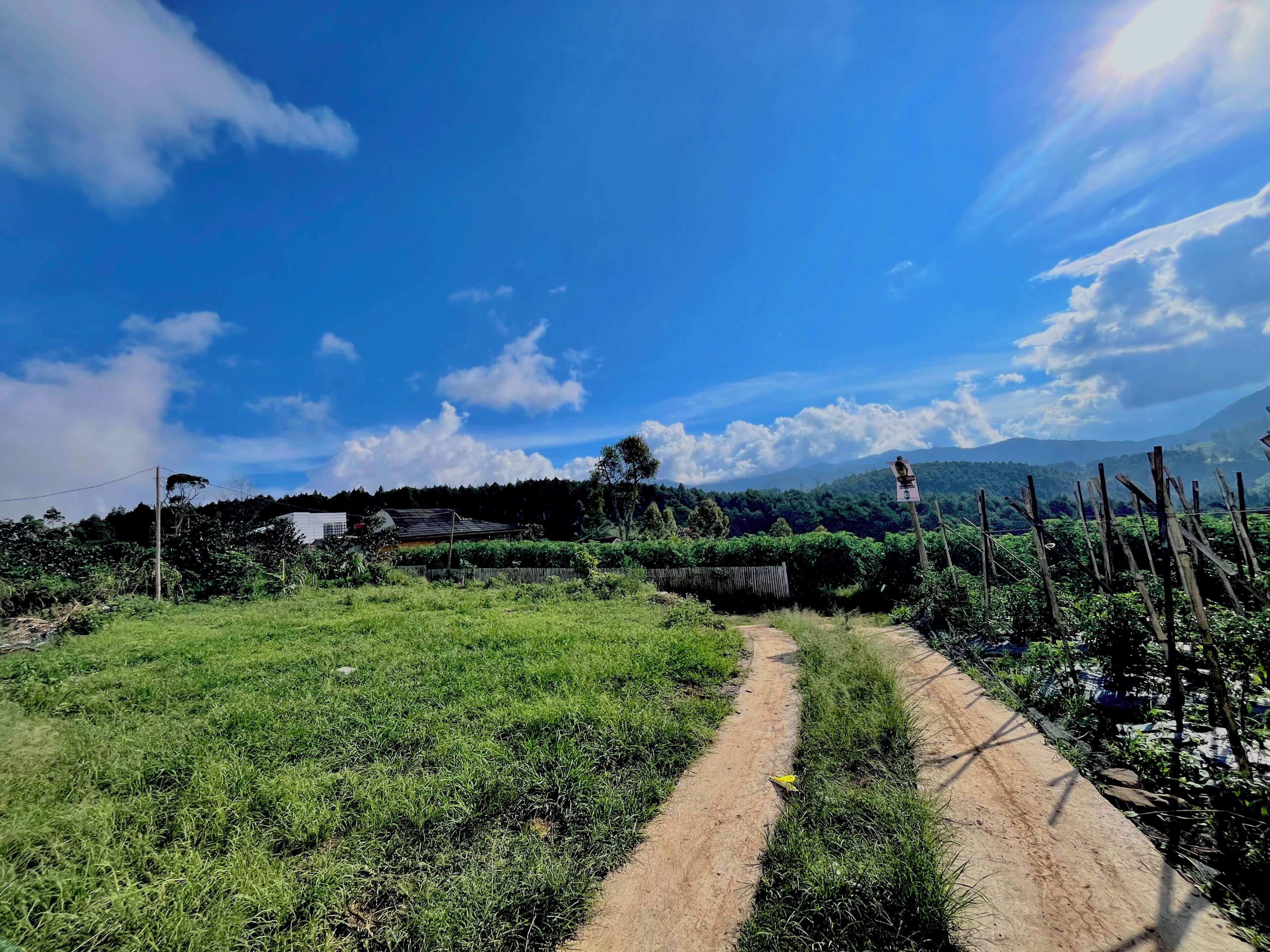 A rural landscape with a dirt path, greenery, and distant mountains.