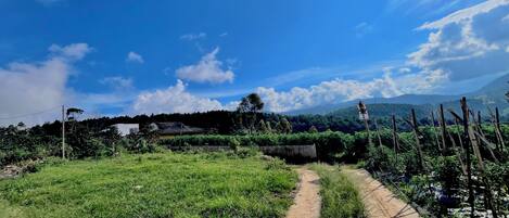 A rural landscape with a dirt path, greenery, and distant mountains.