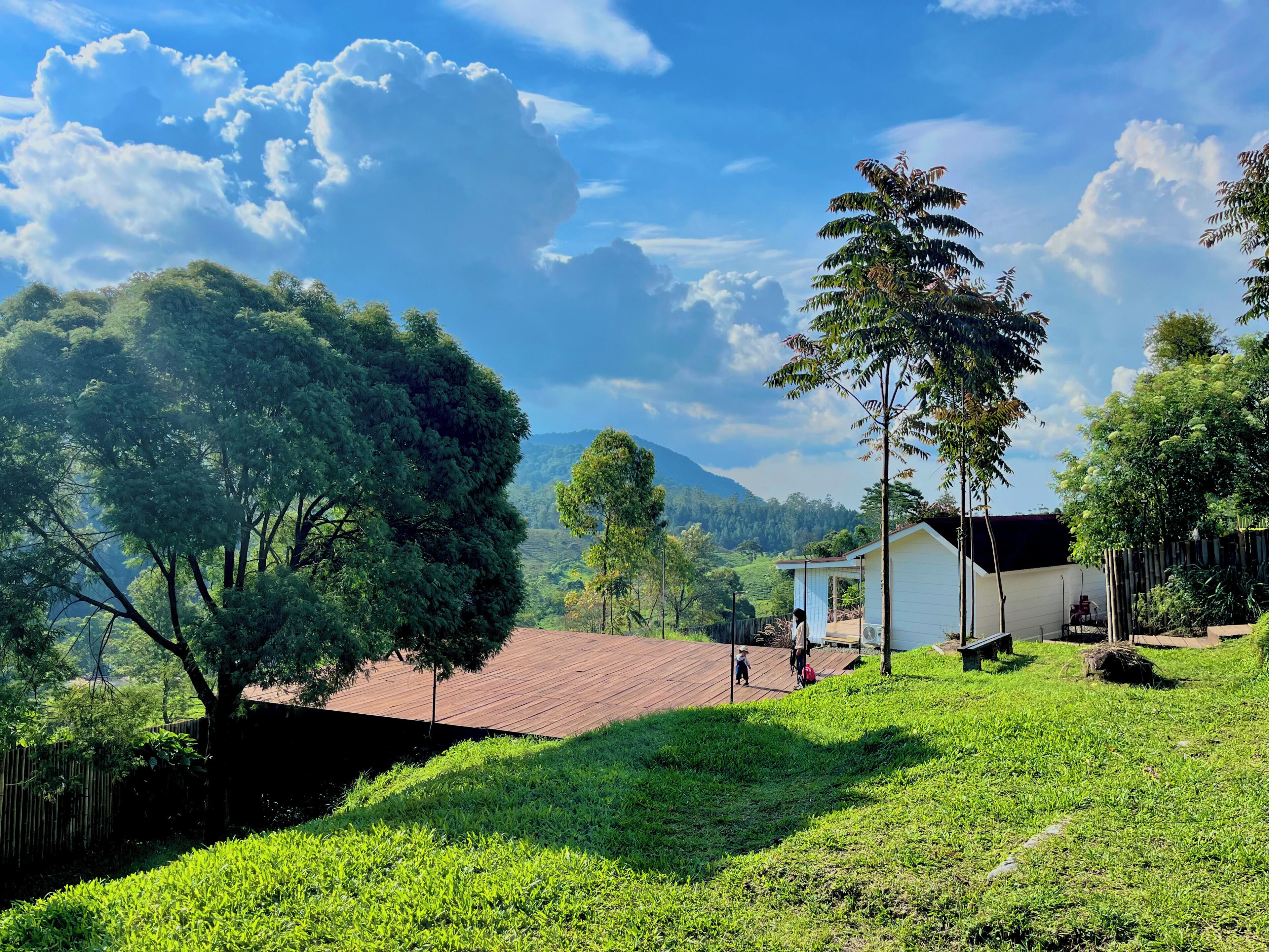 Un cadre rural avec une maison, une terrasse en bois et une zone herbeuse.
