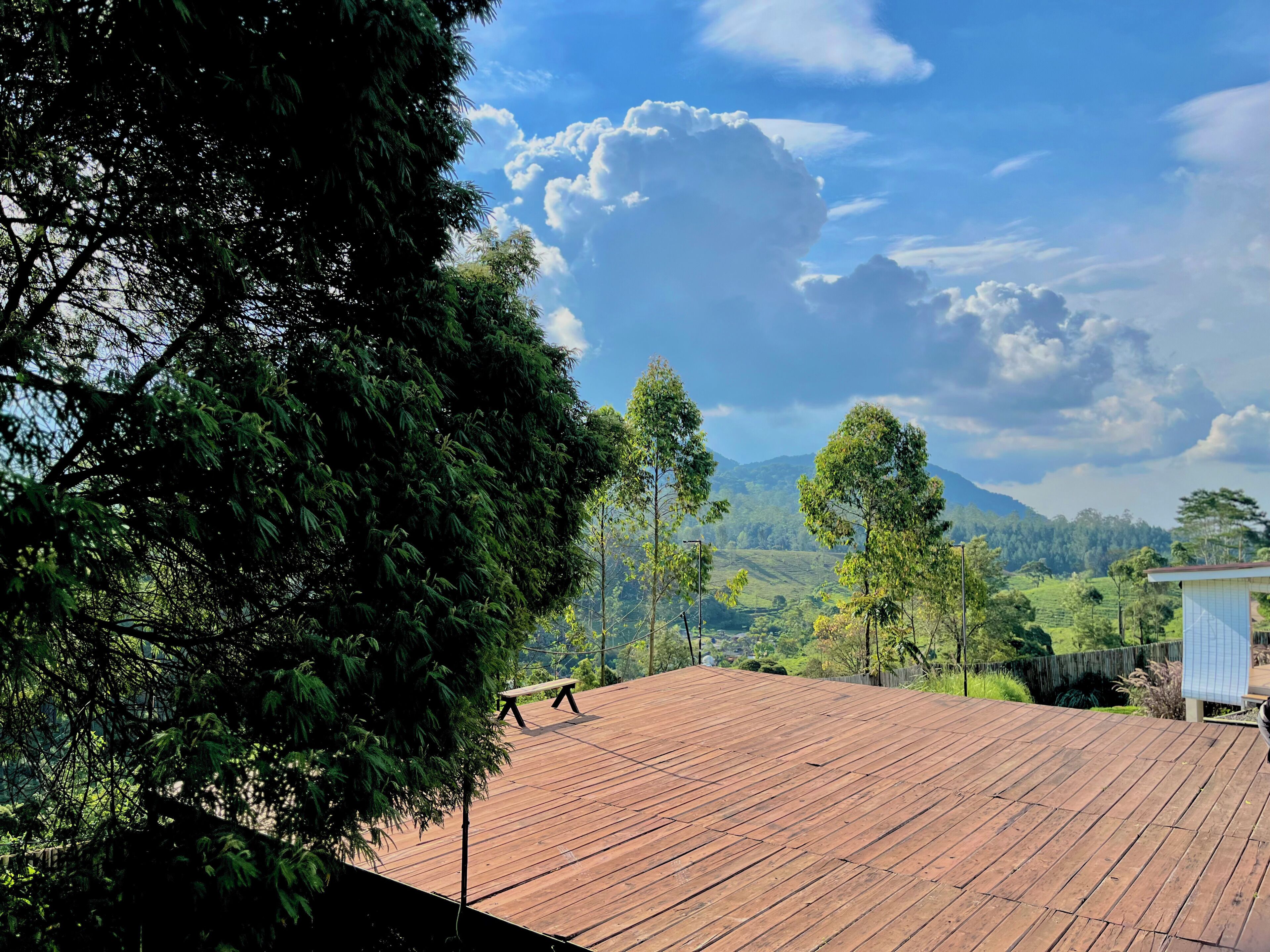 Una terraza de madera con un banco, rodeada de árboles y vistas a colinas distantes.