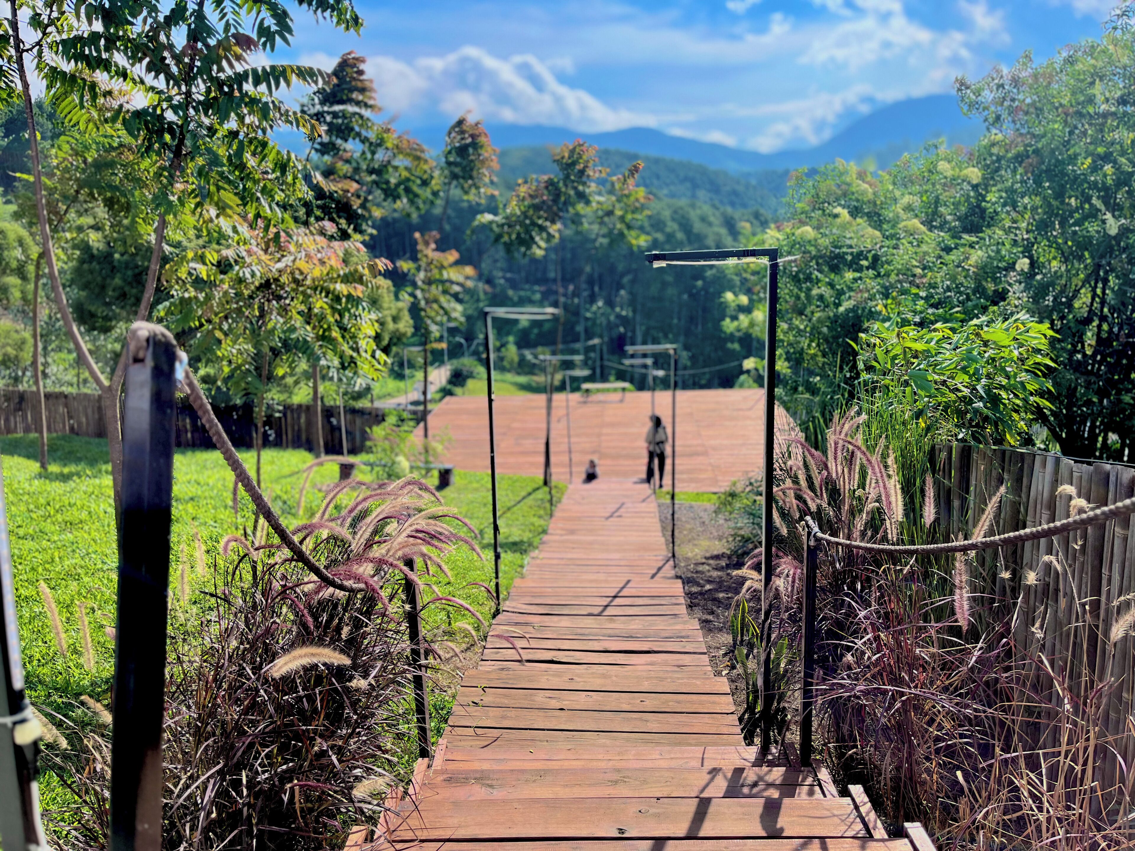 A wooden pathway leading to a distant view of a mountain range, surrounded by lush greenery and a clear sky.