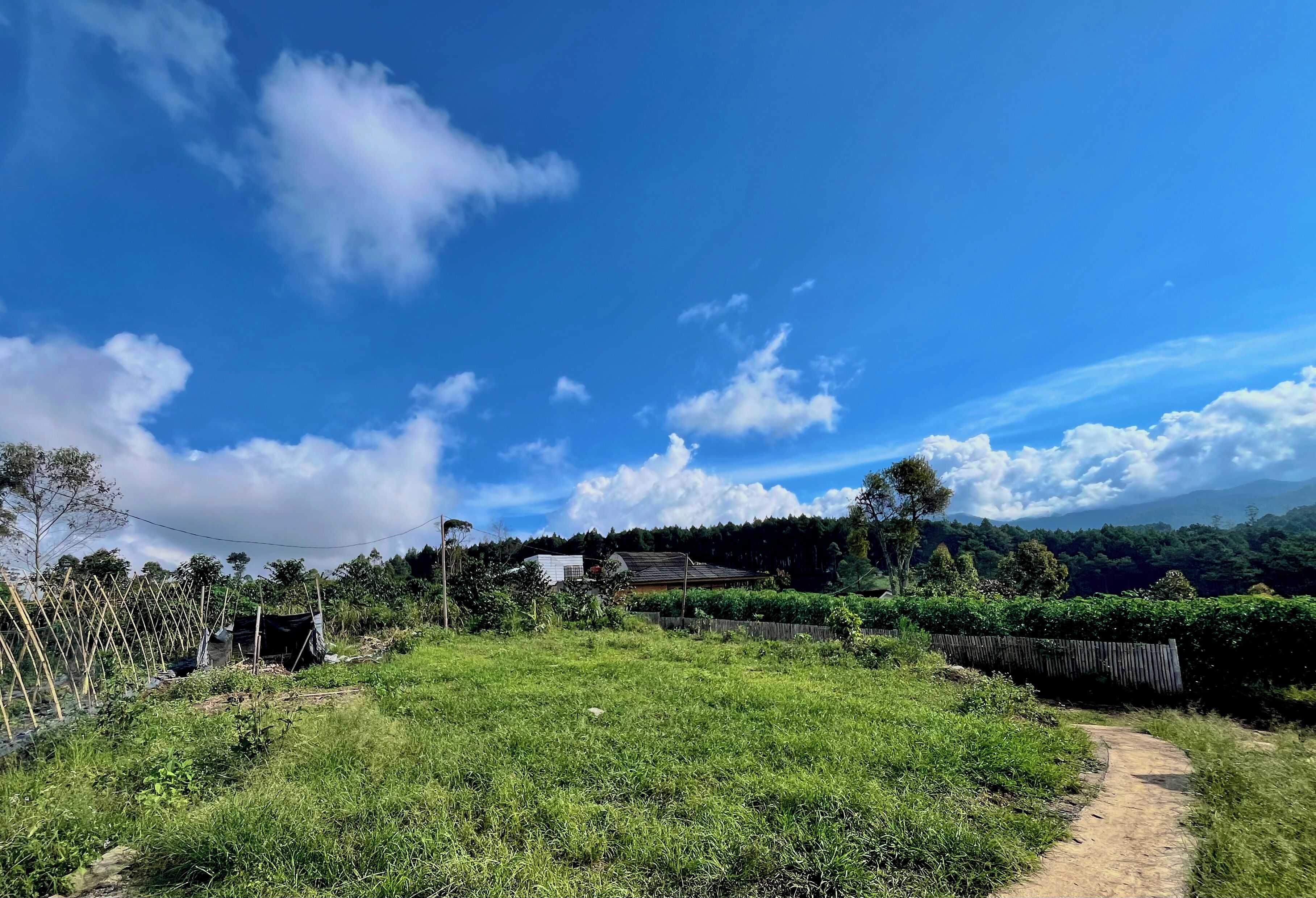 Paisagem rural com caminho de terra, campo verde e casas ao longe.