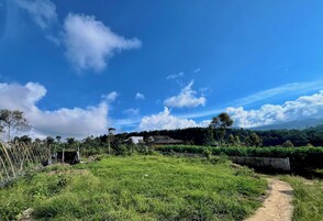 Paisagem rural com caminho de terra, campo verde e casas ao longe.