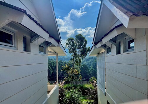 Cabin Inn by Batu Pineus