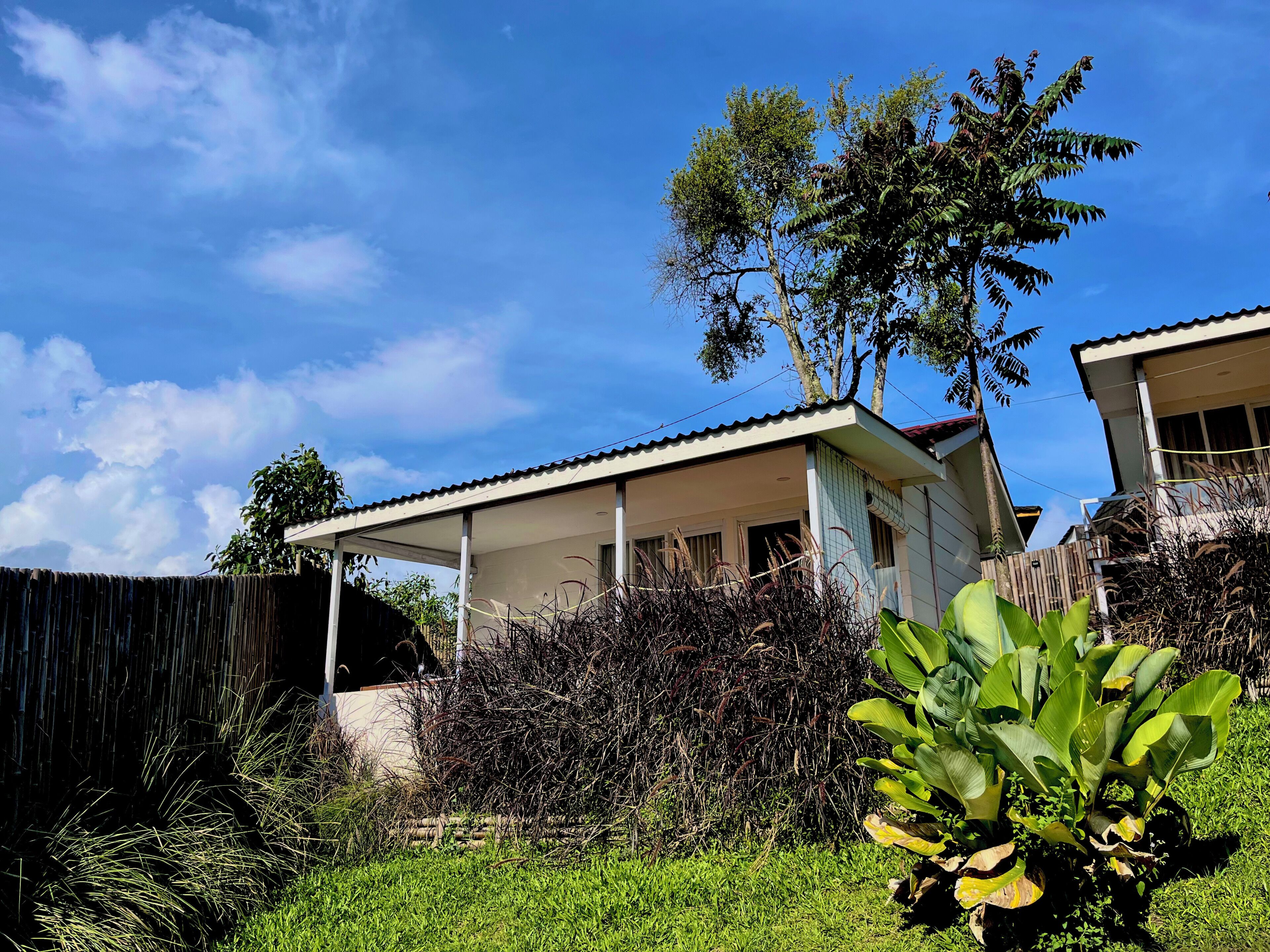 A house with a covered porch, a tree, and a grassy yard.