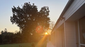 A residential building with a lawn, potted plants, and a large tree. - Luxury Paradise Country Suite, Nature Retreat and Private Chef Fine dining (Duffys Forest)