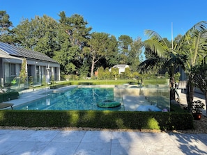Une piscine dotĂ©e dâune enceinte en verre, entourĂ©e dâune haie bien entretenue, de palmiers et dâun ciel dâun bleu limpide.