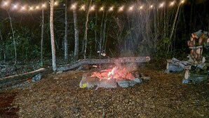 A campfire with a metal grill, surrounded by logs and rocks, with string lights overhead. - Off-Grid Glamping Retreat | 180 Private Acres (Lenoir)
