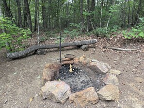 A forested area with a fire pit surrounded by rocks.