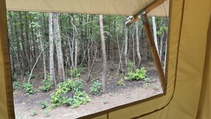 A tent with a view of a forest through a window. - Off-Grid Glamping Retreat | 180 Private Acres (Lenoir)