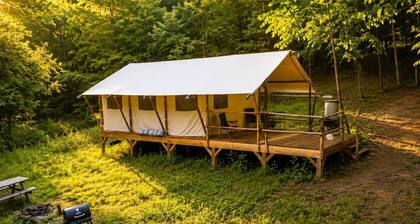 Hidden Meadow Retreat | Ponds, Stars & Solitude