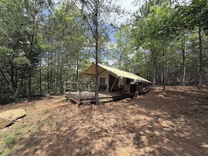 Un terrain de camping boisé comprenant une seule structure de type tente, une terrasse et une petite table.
