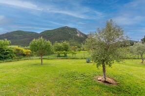 Un champ herbeux, avec des arbres et une montagne en arrière-plan.