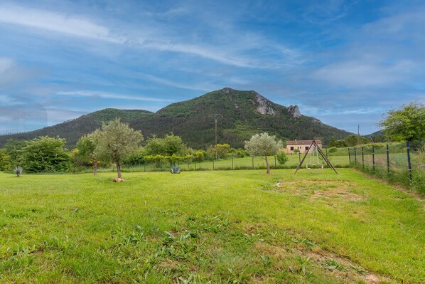A grassy field with trees and a mountain in the background.