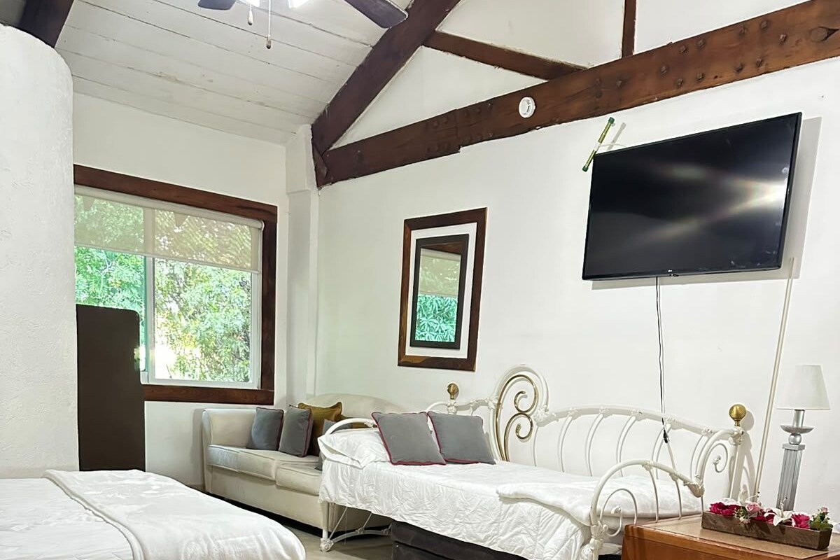 Un dormitorio con dos camas, un televisor, una mesita de noche con flores y una ventana con vistas al verdor.