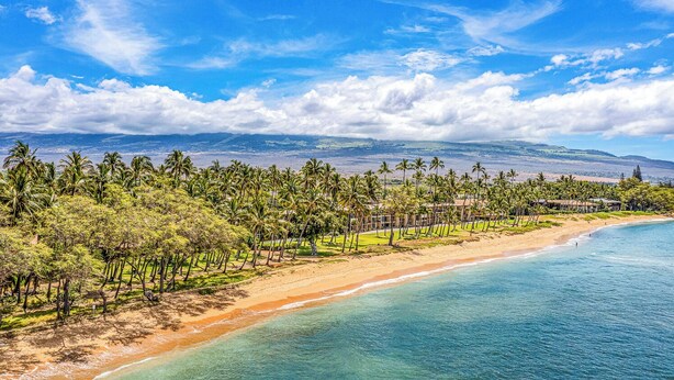 Una località balneare con spiaggia, palme e vista sulle montagne in lontananza.