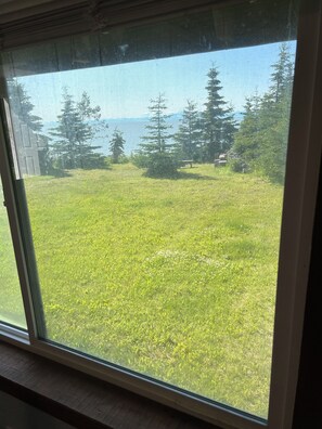 Blick durch ein Fenster auf eine begrünte Freifläche mit Bäumen und einem Gewässer im Hintergrund.