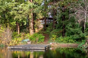 A wooden dock extending into a calm body of water, surrounded by dense green foliage and tall trees.