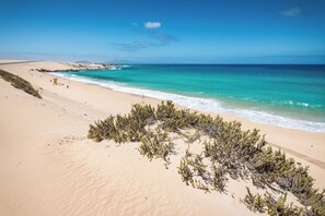 A beach with clear turquoise waters, sandy dunes, and sparse vegetation. - Home2Book La Molina C, Rural Retreat (Antigua)