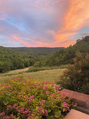 A landscape with a path leading through a field of pink flowers, surrounded by greenery and a hill in the background.