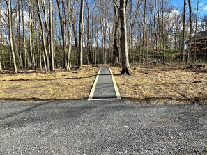 Ein gepflasterter Weg durch einen Wald, gesäumt von Bäumen.