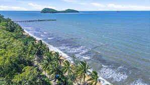 A beach with palm trees, a pier, and a small island in the distance. - Relaxing Beachfront Palm Cove Studio with Ocean Views, Pool Access & Walkable Dining (Palm Cove)