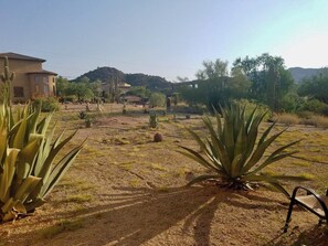 Property grounds - Sonoran Desert Home • Peace, Space & Stars (Mesa)