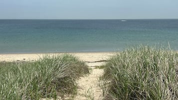 Camastros y toallas de playa