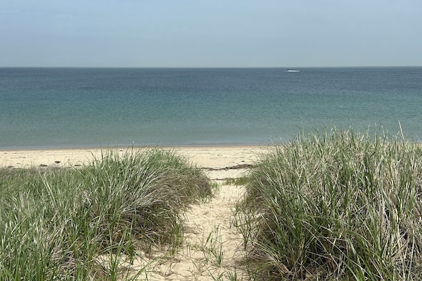 Ligstoelen aan het strand, strandlakens
