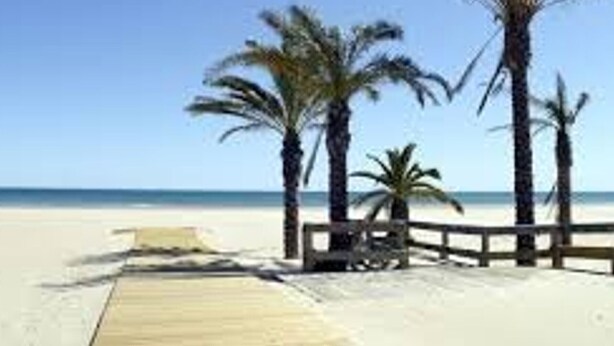 A beach with a wooden walkway and palm trees. - Modern apartment, AC and parking - 3 guests (Canet-en-Roussillon)