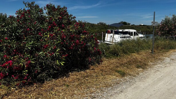 Un bote amarrado cerca de un arbusto con flores rojas, un sendero de tierra y un cielo azul despejado.