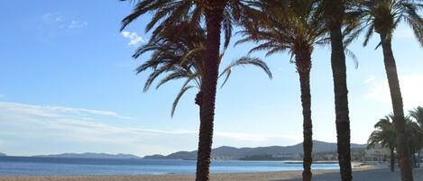 Playa