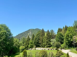 Üppige grüne Landschaft mit einer kurvenreichen Straße, dichtem Baumbestand und einem Berg im Hintergrund.