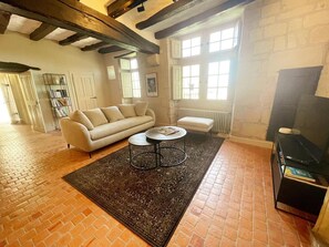 A living room with a sofa, a coffee table, a rug, a fireplace, and a television. - Charming cottage in Candes-St-Martin - 8 guests (Candes-Saint-Martin)