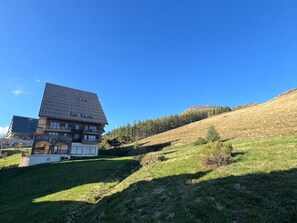 Ein modernes, zweistöckiges Haus mit geneigtem Dach, umgeben von einer grasbewachsenen Hügelkuppe und einem bewaldeten Gebiet.
