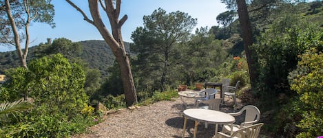 A gravel patio with outdoor seating, surrounded by trees and vegetation.