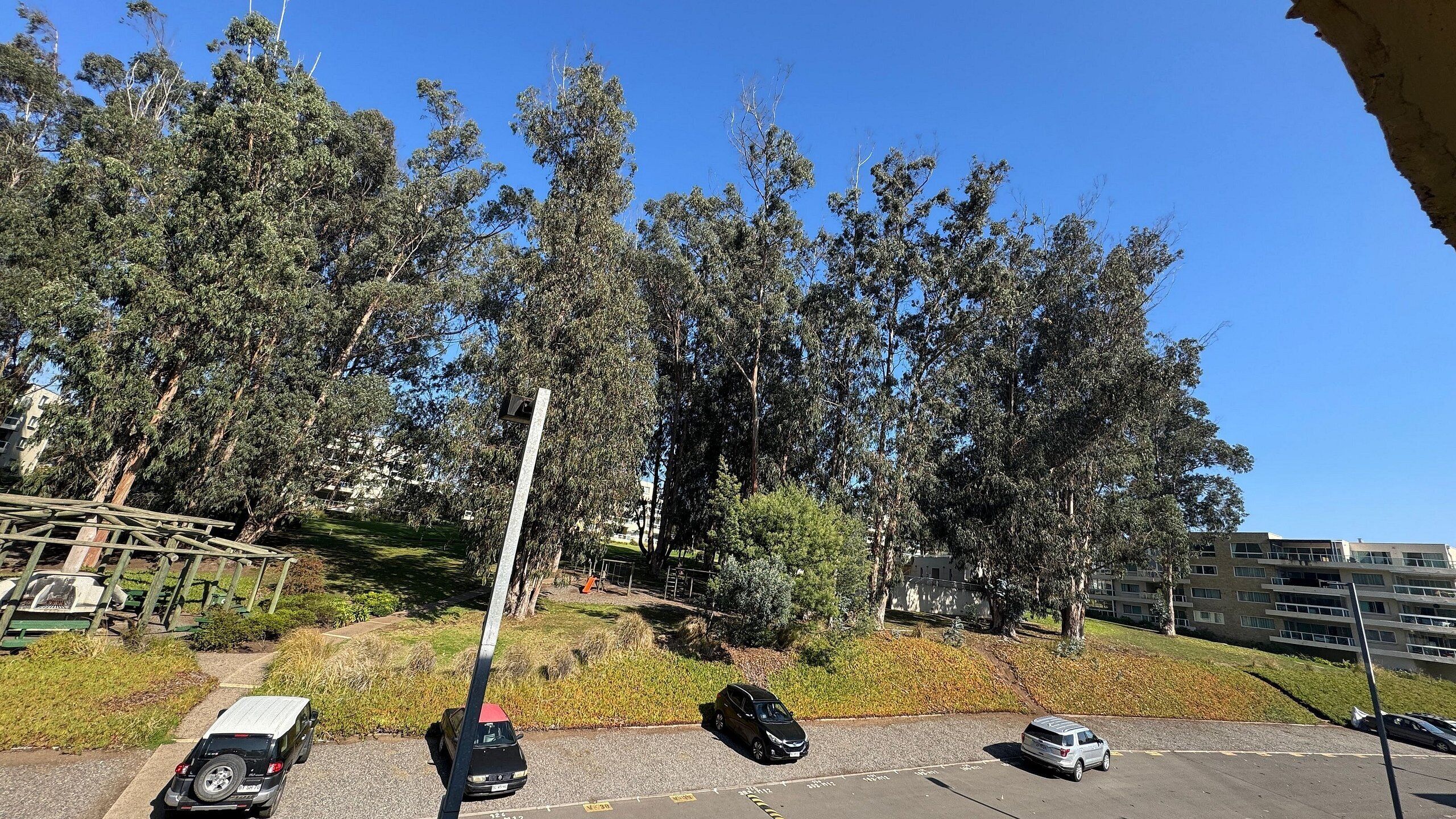 Uma área de estacionamento com vários carros, um caminho para pedestres e um fundo de árvores altas e edifícios.
