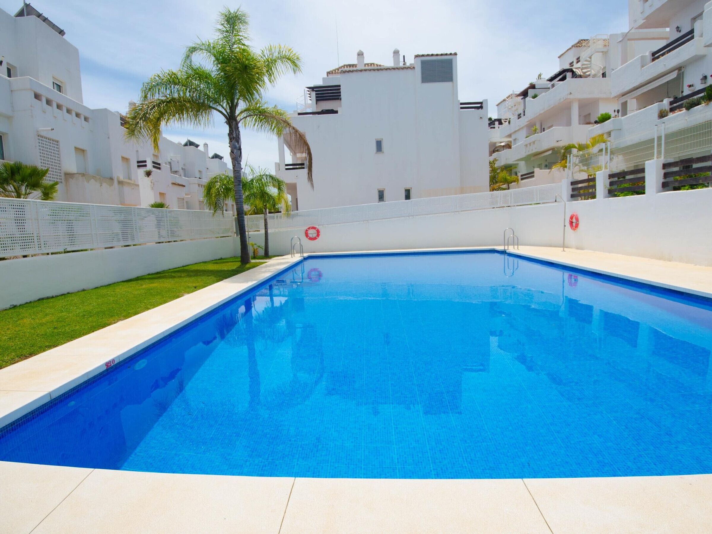 A swimming pool surrounded by white buildings, a palm tree, and a white fence.