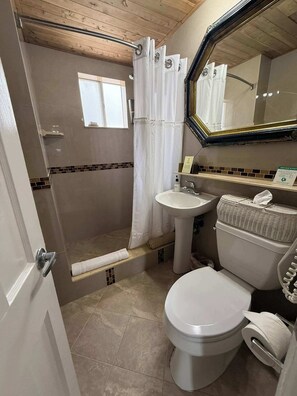 Een badkamer met douche, toilet, wastafel en spiegel.
