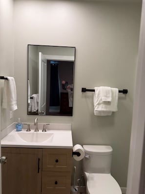 Shower, towels, toilet paper