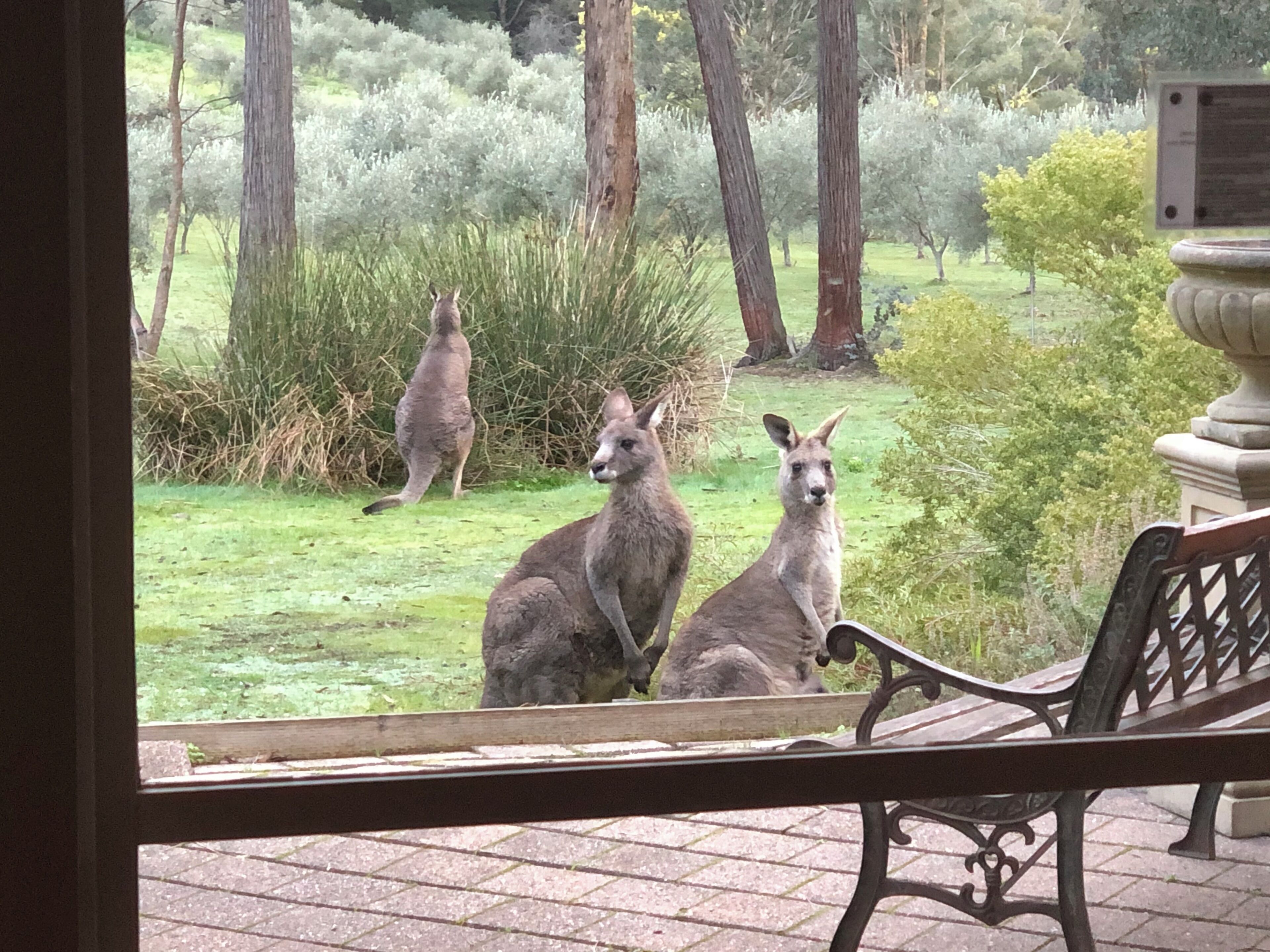 View from property