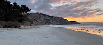 Aramoana garden cottage close to the beach