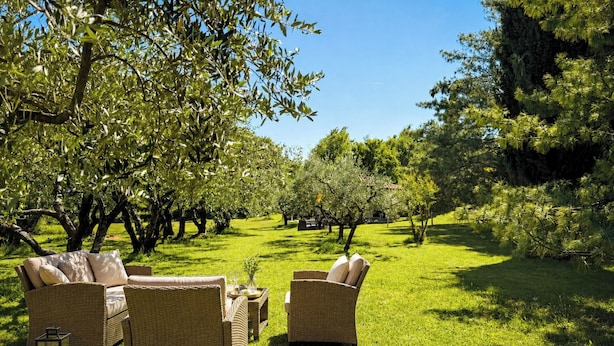 A grassy outdoor area with wicker furniture and trees. - Marisa Olive Grove - App Terra, Labin, Croatia (Labin)