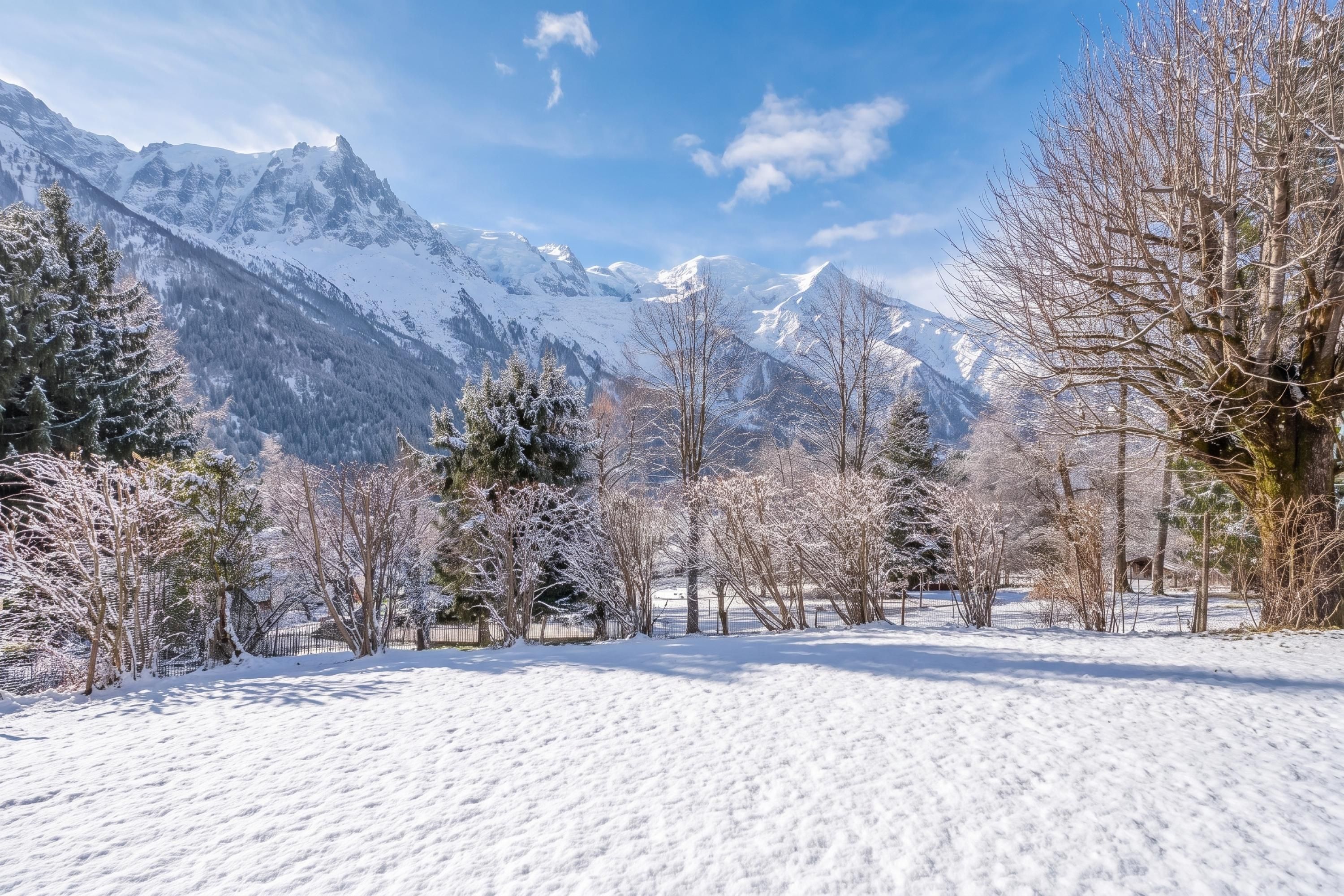 Un paysage enneigé avec des montagnes en arrière-plan et des arbres au premier plan.