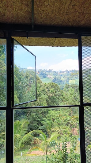 A room with a large window offering a view of a lush, green landscape with trees and a distant building.