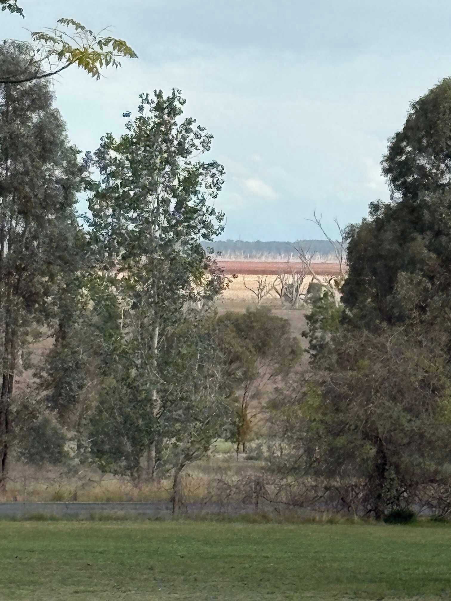 A landscape with trees, a grassy field, and a distant structure.