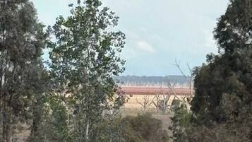A landscape with trees, a grassy field, and a distant structure.