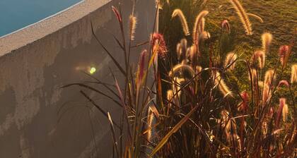 Macadamia Floral Farm and Farmstay, beautiful farmhouse in Laceys Creek